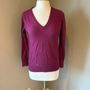 Banana Republic Deep Magenta V-Neck Sweater Medium